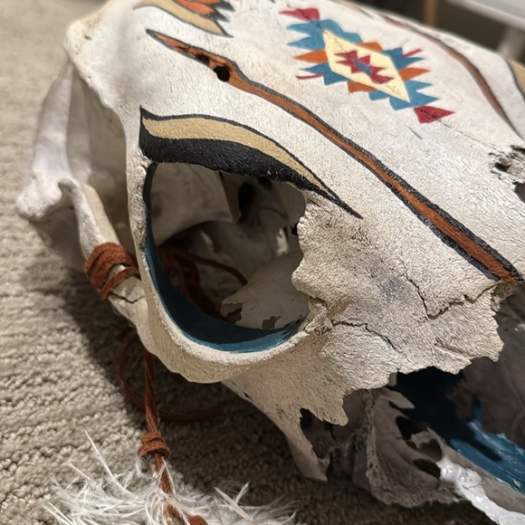 Custom Painted Cow Skull Western Boho - Picture 4 of 7